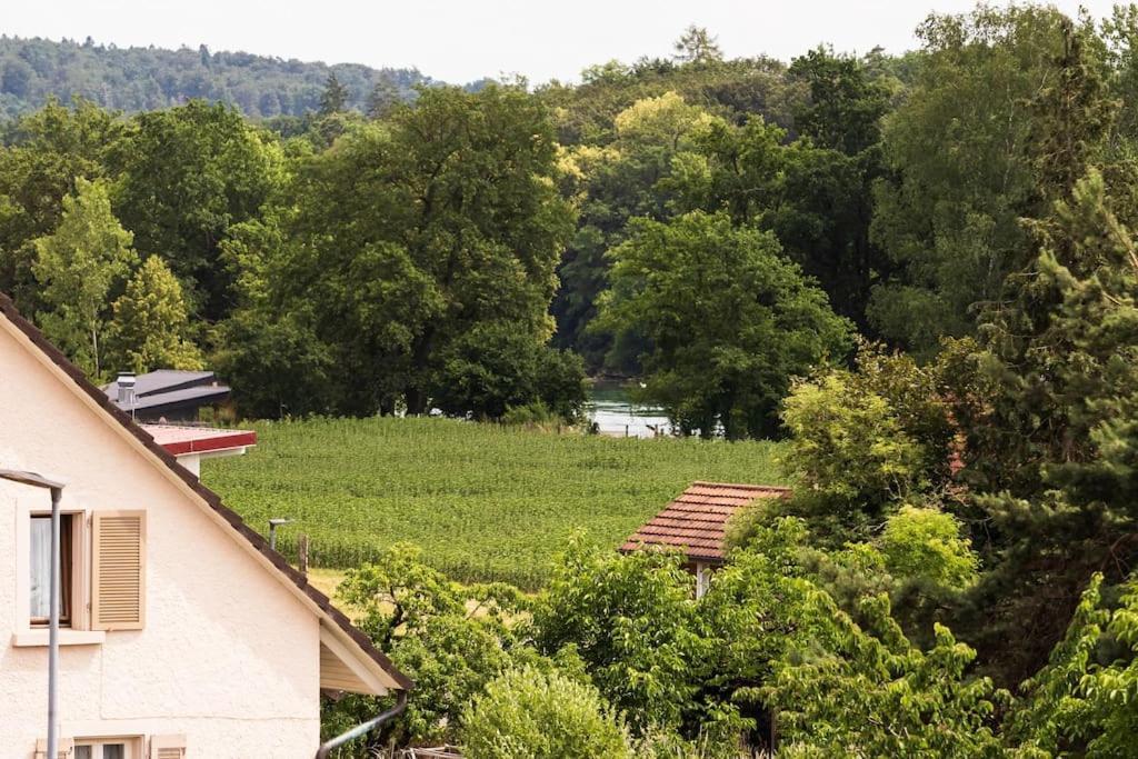Luxury Apartment On The Rhein Busingen am Hochrhein Luaran gambar