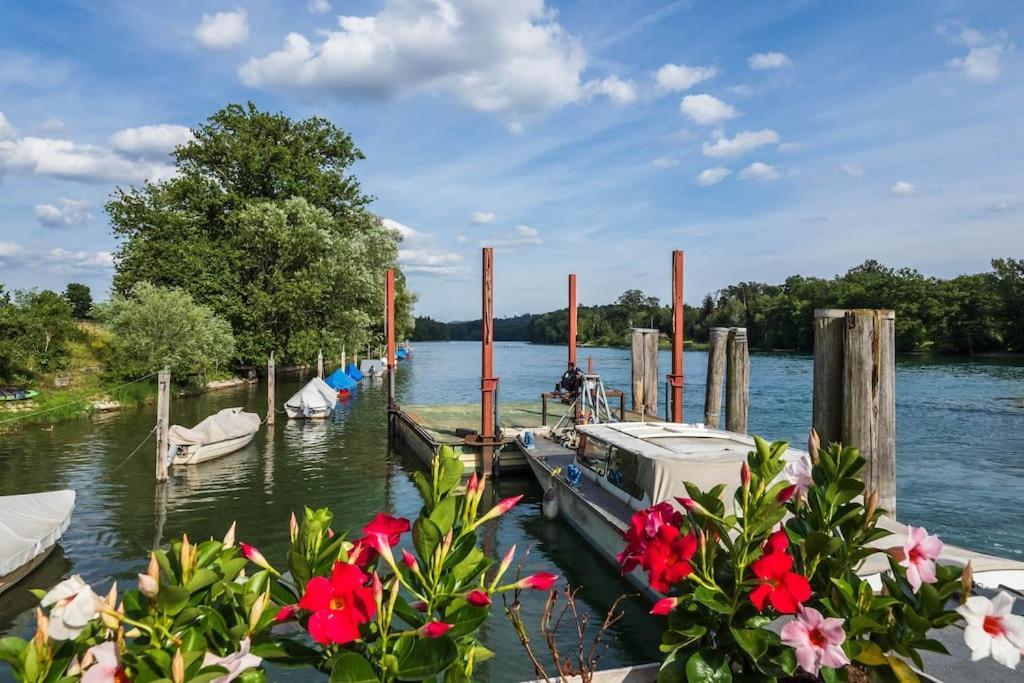 Luxury Apartment On The Rhein Busingen am Hochrhein Luaran gambar
